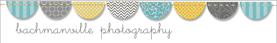 bachmanville photography